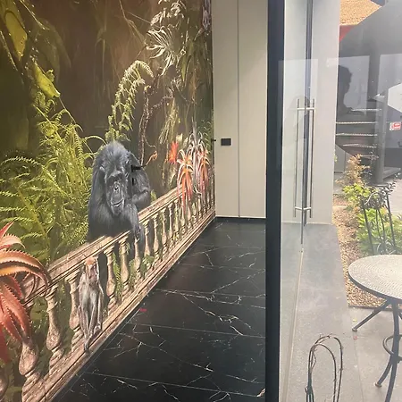 Punto Zero Lux Il Primo Boutique Concept A アパート *