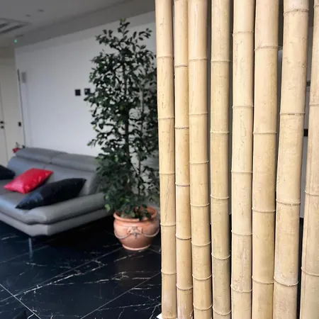 Punto Zero Lux Il Primo Boutique Concept A *