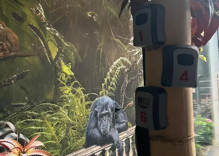 Punto Zero Lux Il Primo Boutique Concept A